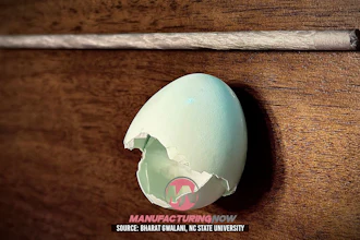 Broken eggshell on wooden surface revealing manufacturing-related graphic inside
