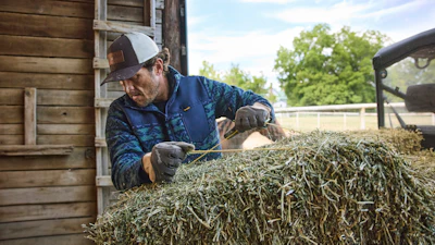Farmer in blue jacket and cap handling hay bales near a wooden barn and truck