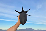 Person holding black spiked helmet against blue sky with mountains in background